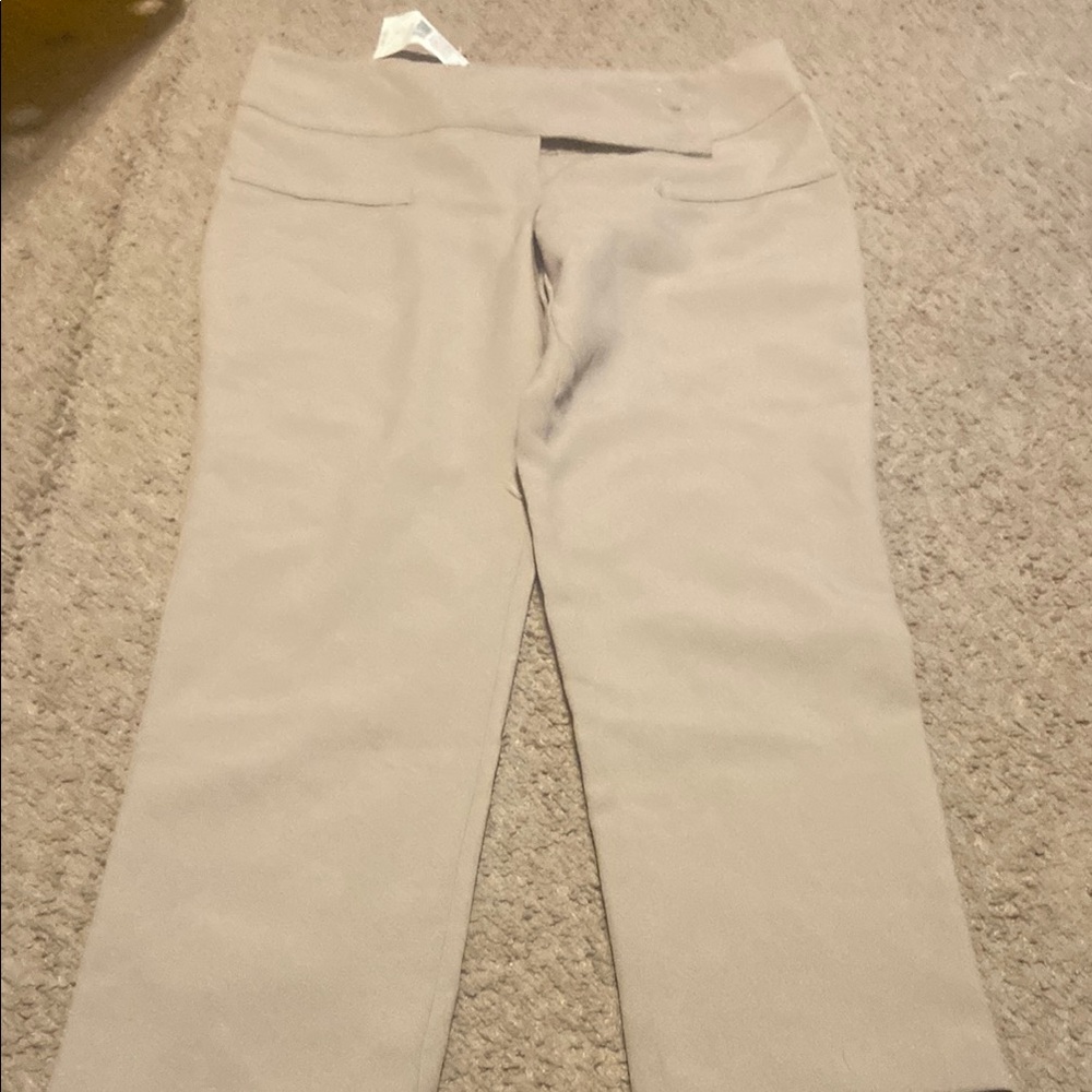 Max rave Stylish Tan Pants